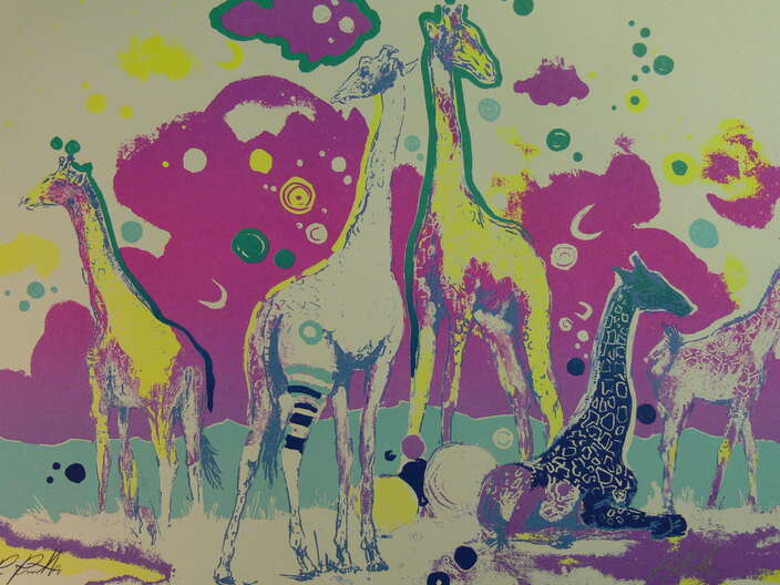 12 giraffen